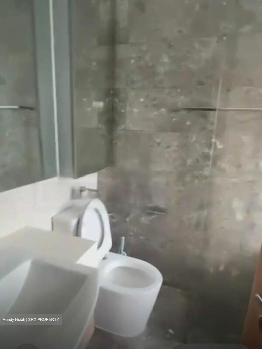 Caspian (D22), Condominium #454506621